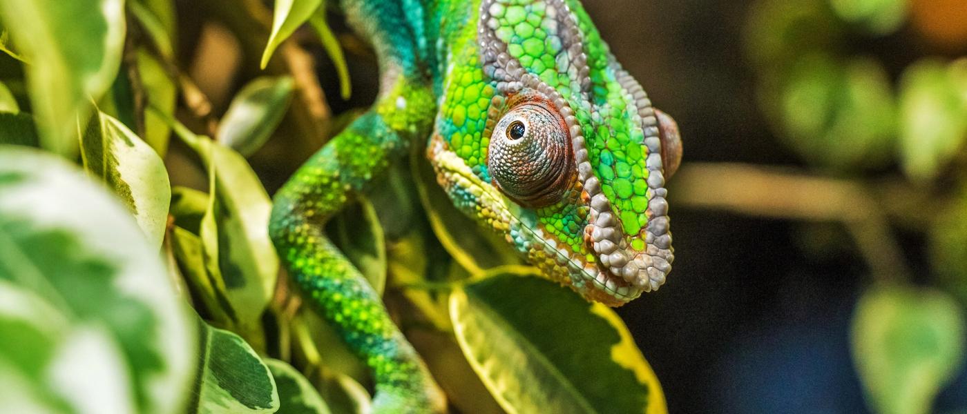 Top 10 Things To Do in Madagascar