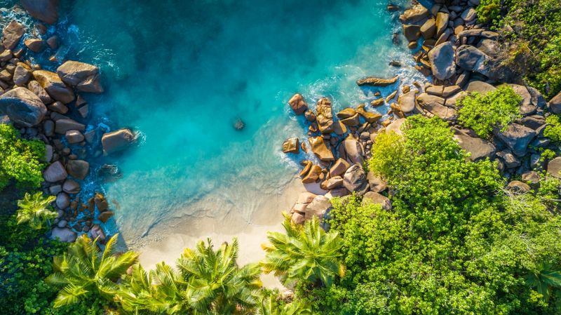 Tropical forest surrounded by talcum-powdered beaches and cerulean waters