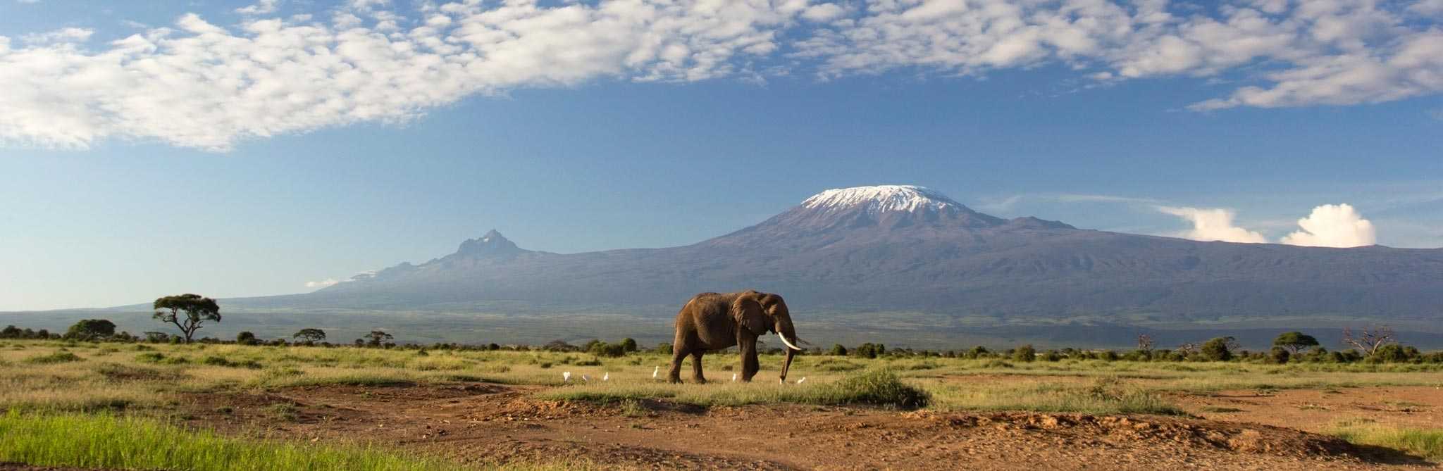 Ebola in der Perspektive | Reisen in Afrika