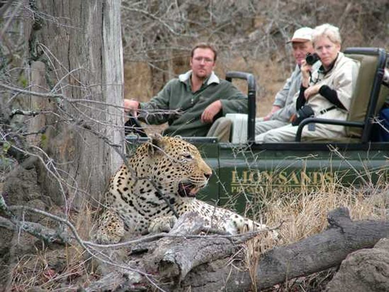 Go on game viewing safaris and see the Big Five