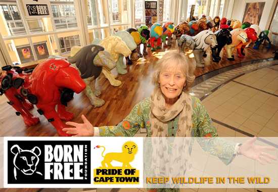 The Born Free Foundation: Pride of Cape Town