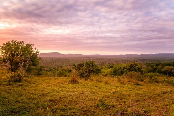 Die besten Safaris in KwaZulu-Natal