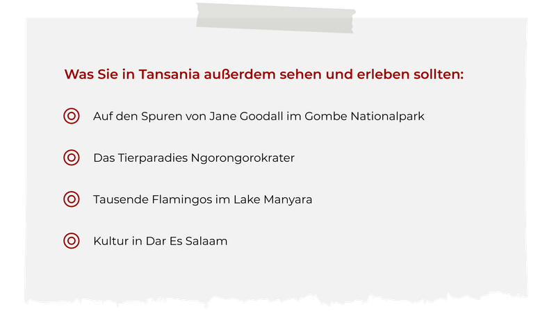 Was Sie in Tansania ausserdem sehen und erleben sollten