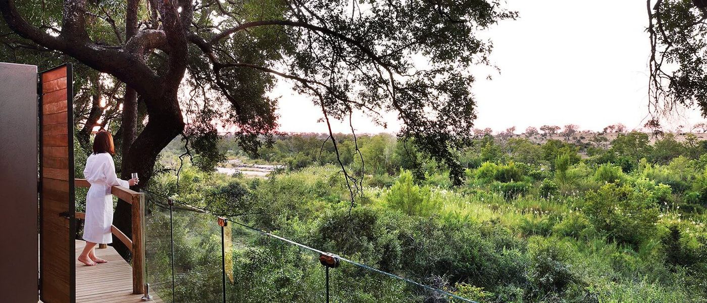 Um safári holístico em Londolozi Healing House