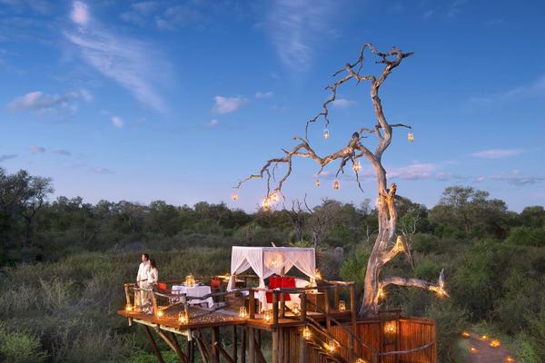 Bajo las estrellas en una mágica casa del árbol de Lion Sands