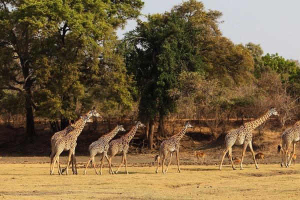 Voluntariado en África: súmate al turismo sostenible