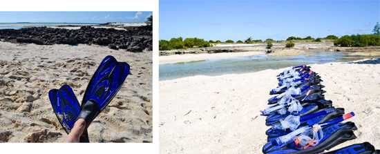 Indian Ocean Activities