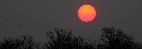 South Luangwa & Kafue