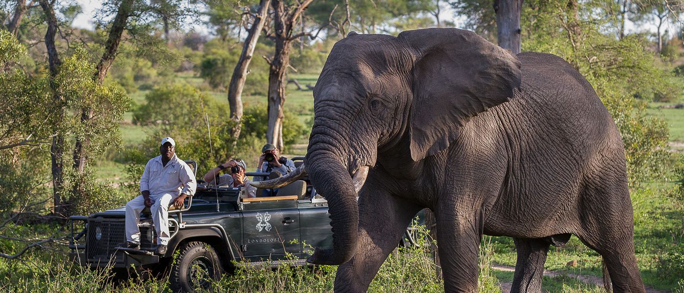 Win Your Dream African Safari and Make a Lasting Difference