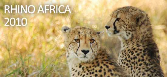 The Rhino Africa Safaris Year in Review