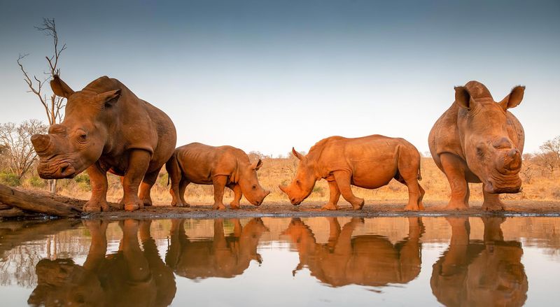 Les voyages internationaux en Afrique du Sud sont à nouveau possibles