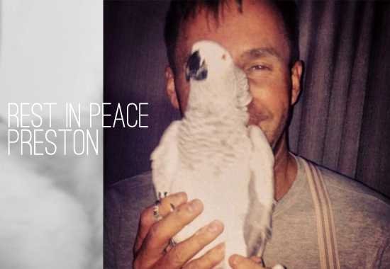 A Tribute To Preston The Parrot