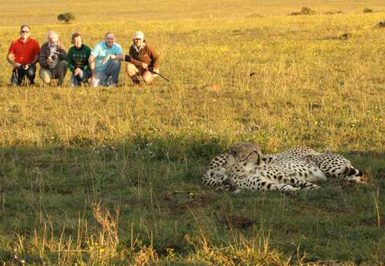 Try something different and go on a Garden Route safari!