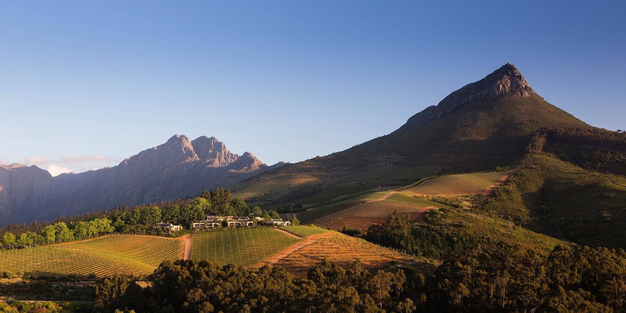 Our Favourite Restaurants in Stellenbosch