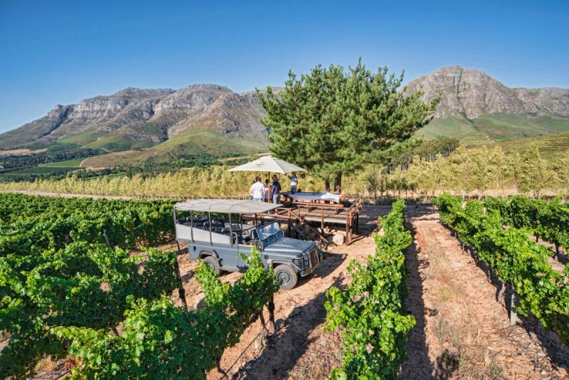 Waterford wine safari