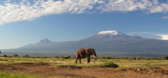 De la Sabana a la Selva: Los Mejores Parques Nacionales de África