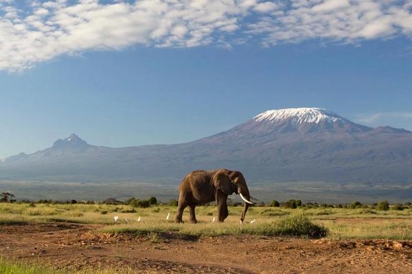 De la Sabana a la Selva: Los Mejores Parques Nacionales de África
