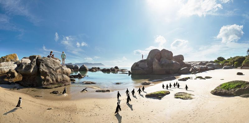A sandy beach dotted with boulders, where African penguins waddle past sunbathers under a bright blue sky - unique places to travel