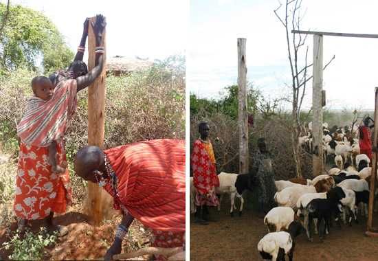 Local farmers using funds from Born Free to protect their livestock