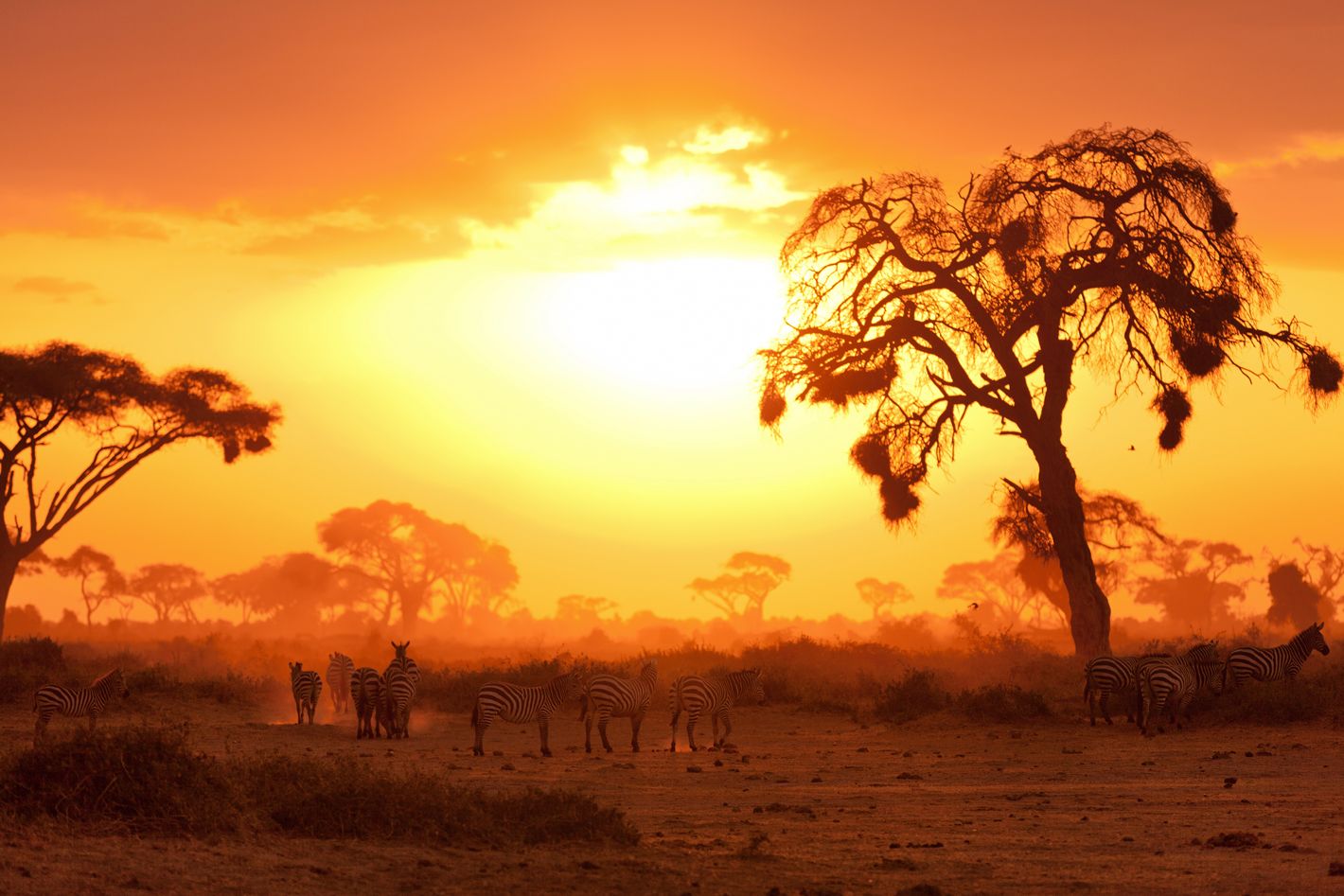 35 African Experiences You Need to Have Before You Die