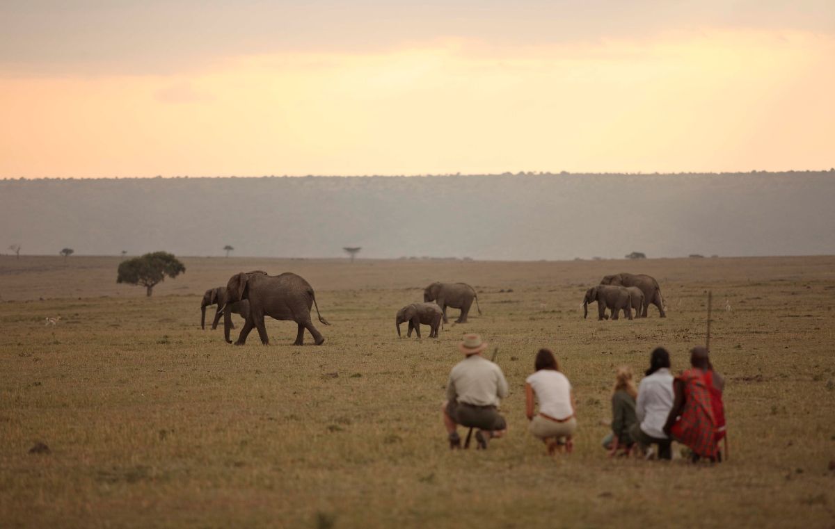 The Role of AI in Today's Africa Traveller