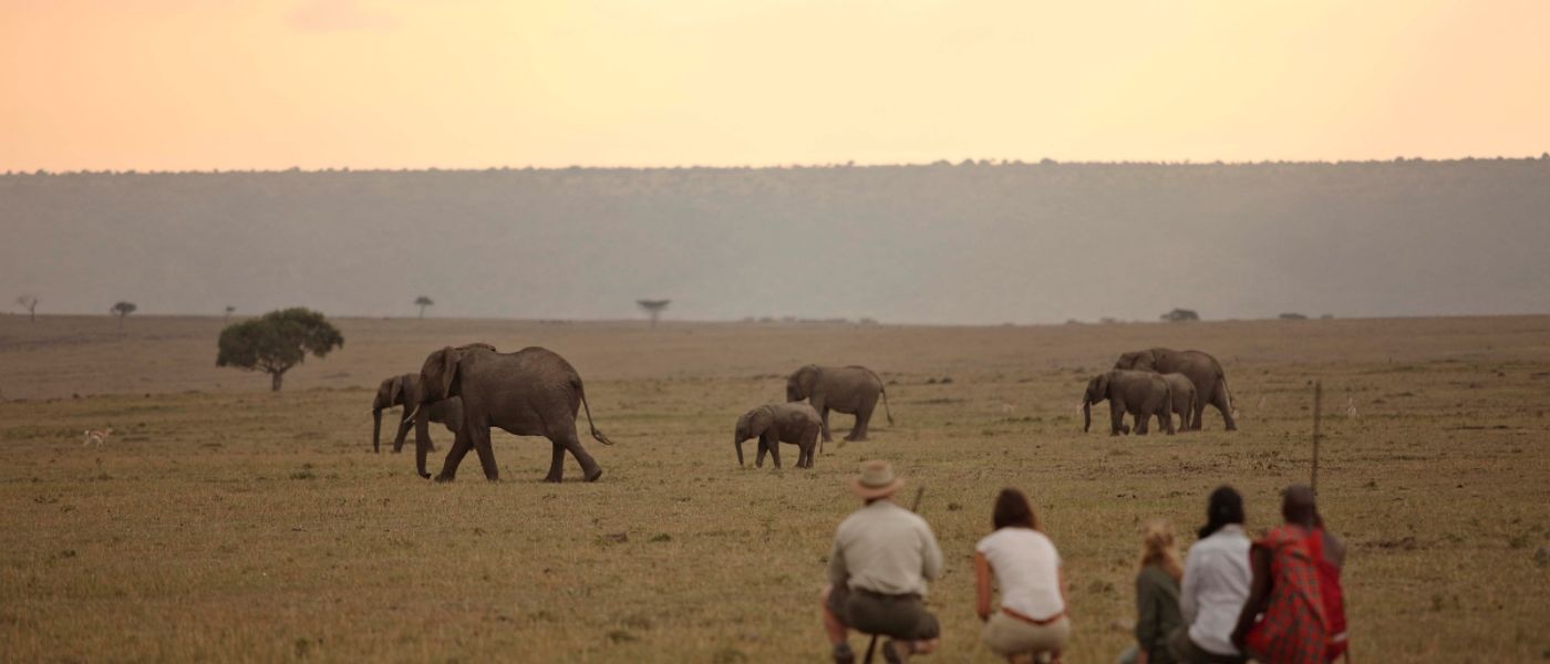 The Role of AI in Today's Africa Traveller