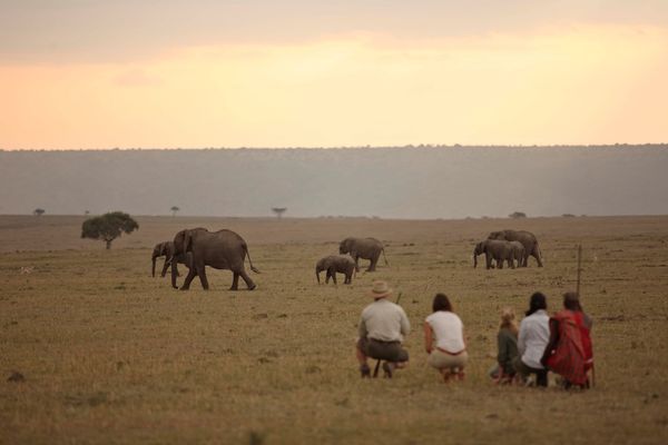 The Role of AI in Today's Africa Traveller