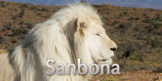 Niki visits Sanbona Wildlife Reserve in the Klein Karoo