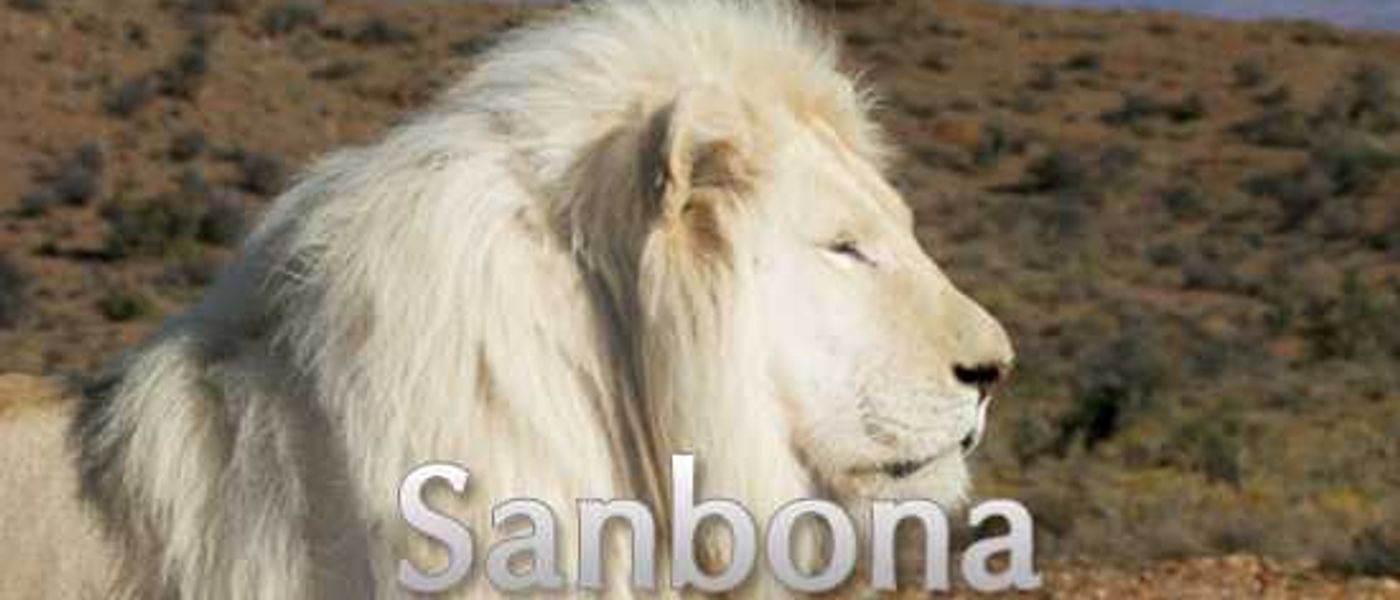 Niki visits Sanbona Wildlife Reserve in the Klein Karoo