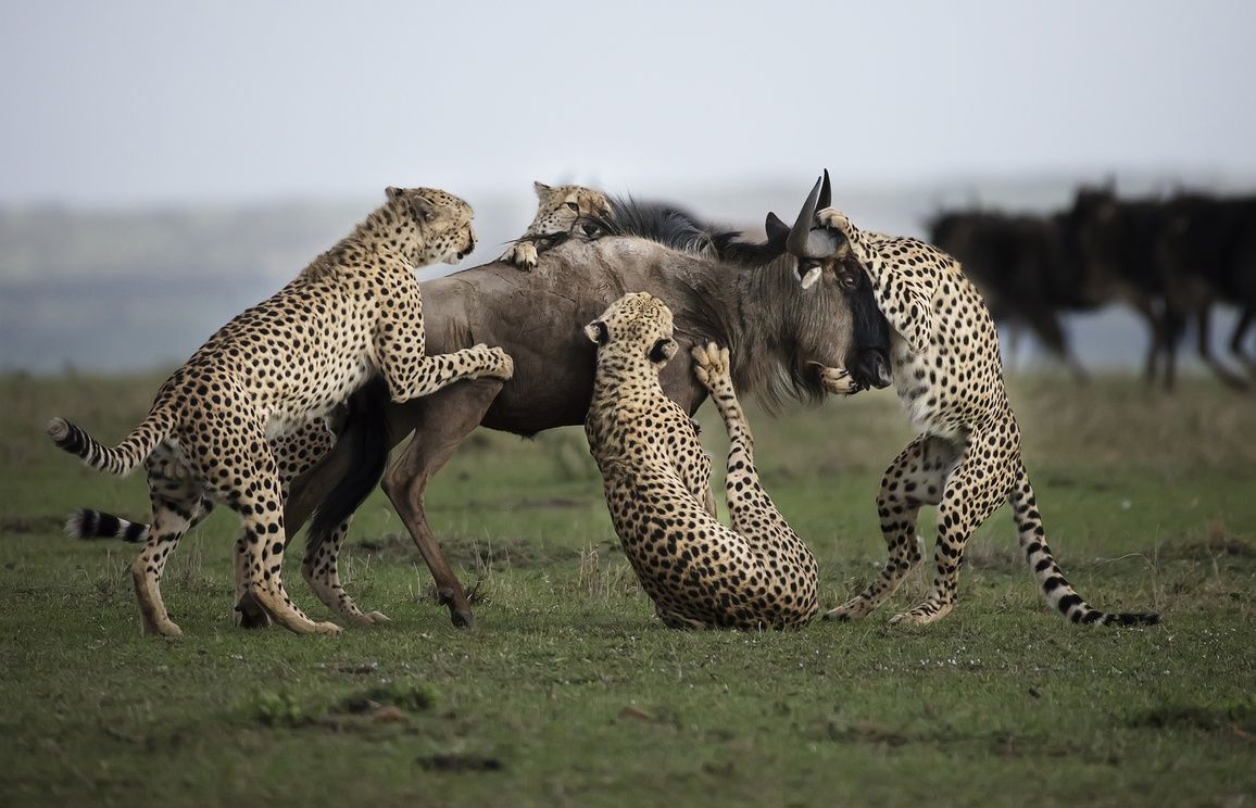 Conheça o vencedor do Africa's Photographer of the Year 2017
