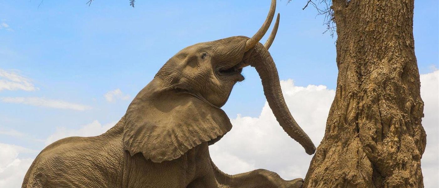 Where to Stay for a Family Safari in Mana Pools