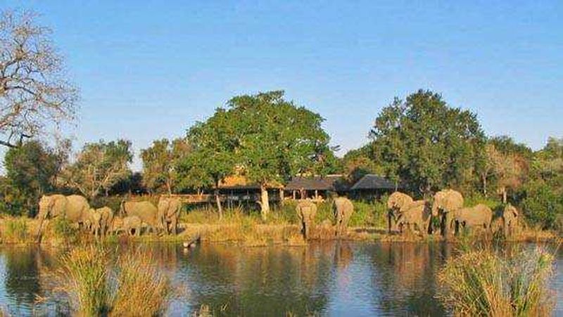 The accommodation at the Sabi Sand Game Reserve looks out on a river
