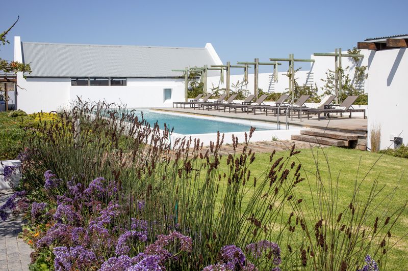 View of the garden and swimming pool of the Strandloper hotel in Paternoster