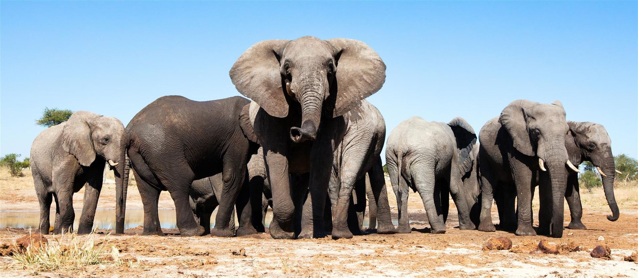 Booking your African Safari with Confidence during Covid-19