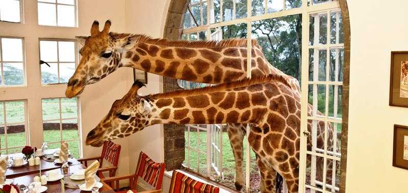 Top 10 Things to do in Nairobi