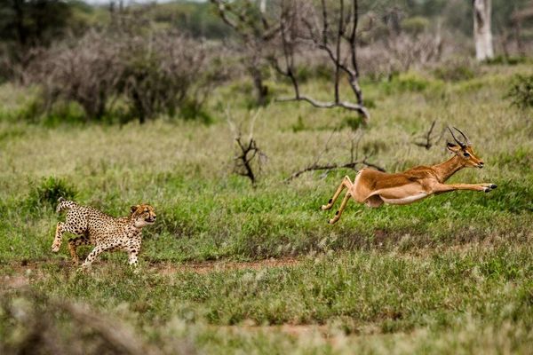 3 maravillas del sur de África