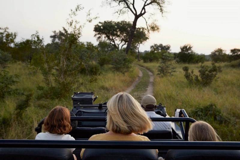 Cheetah Plains Safari Game Drive