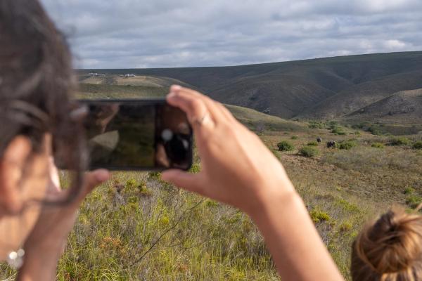 Top 5 acomodações mais Instagramáveis de África