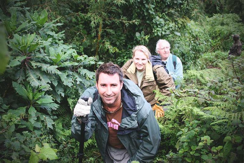 David Ryan and his team trekking