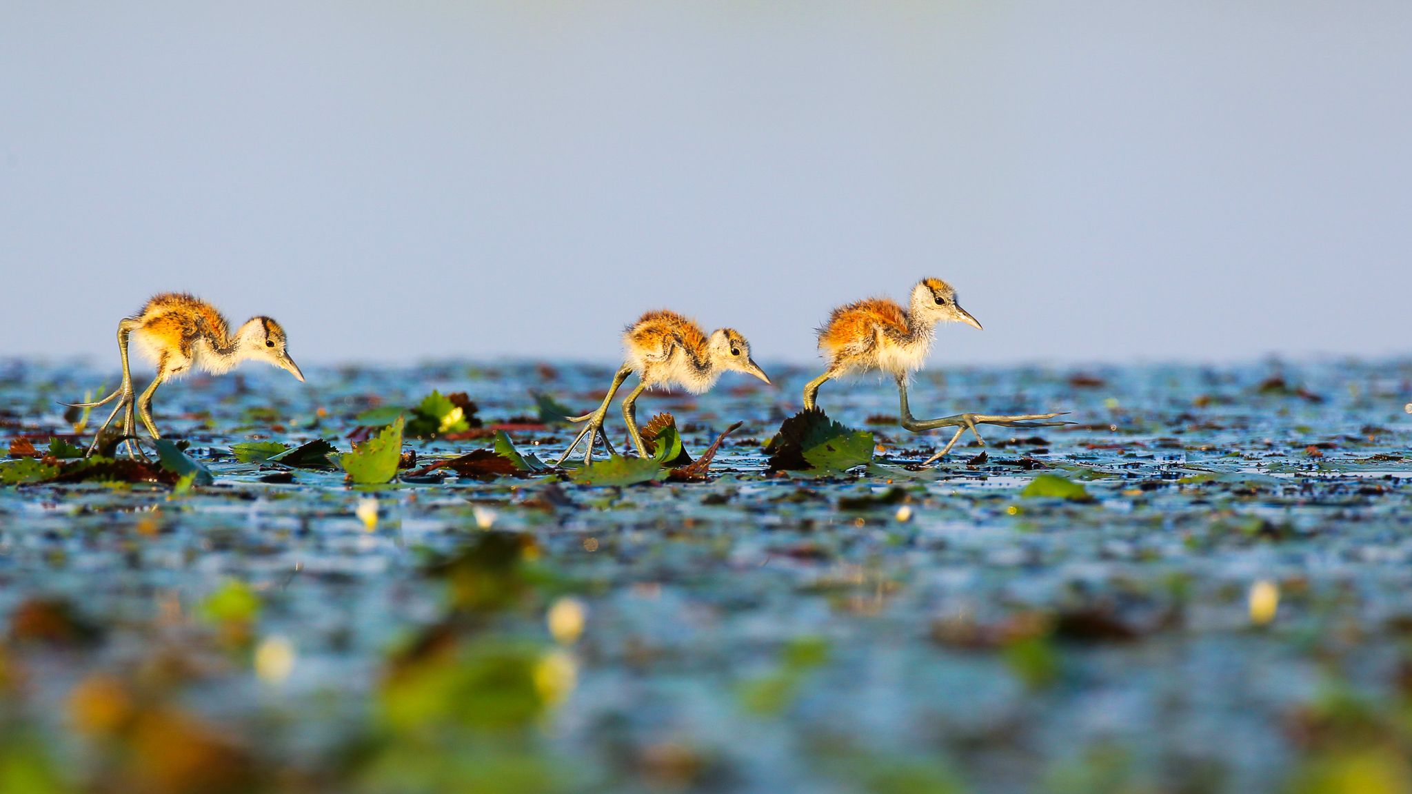 Top Photography Tips from John Mullineux