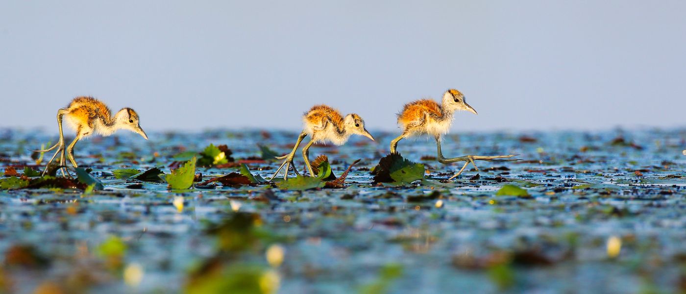 Top Photography Tips from John Mullineux