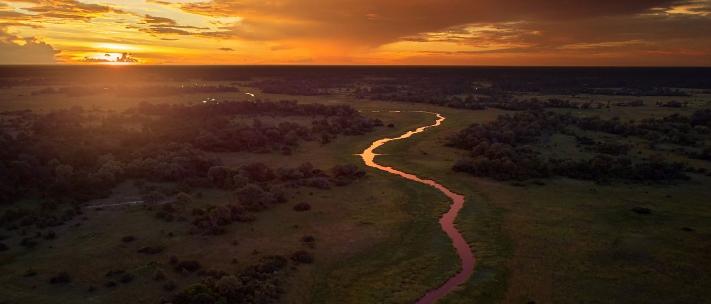 Why Our Travel Expert Bianca Loves a Botswana Safari