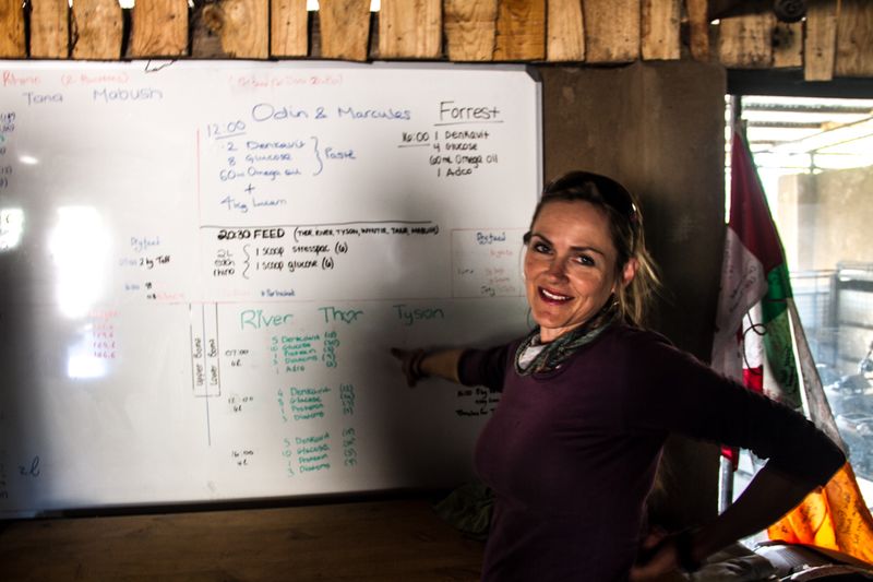 Petronel with a rhino schedule