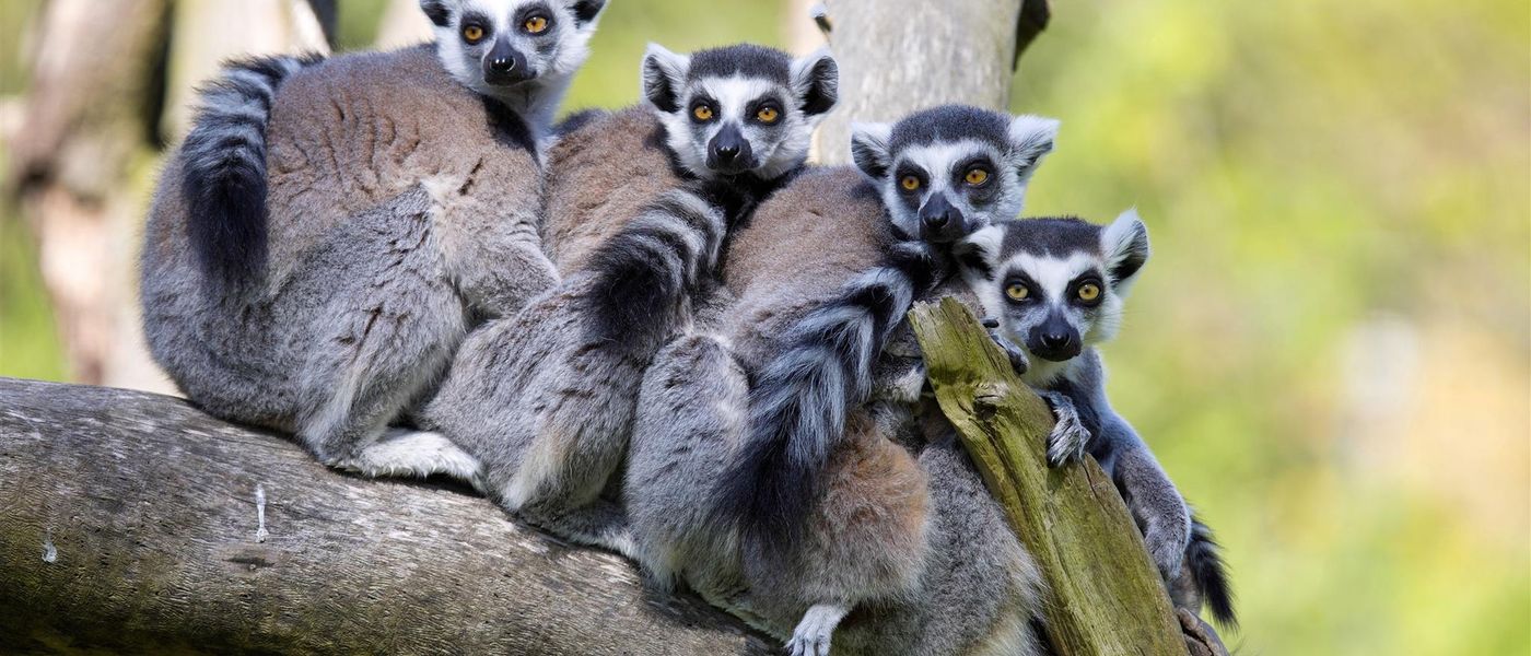 Notre Top 9 des activités à Madagascar