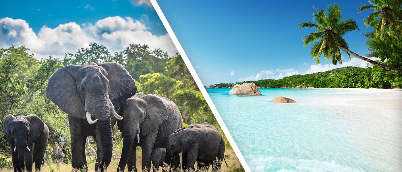 Best Bush and Beach Destinations in Africa for The Ultimate Holiday