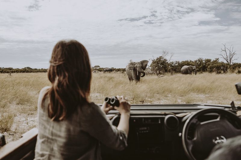 Book your safari early to enjoy a game drive at Vumbura Plains