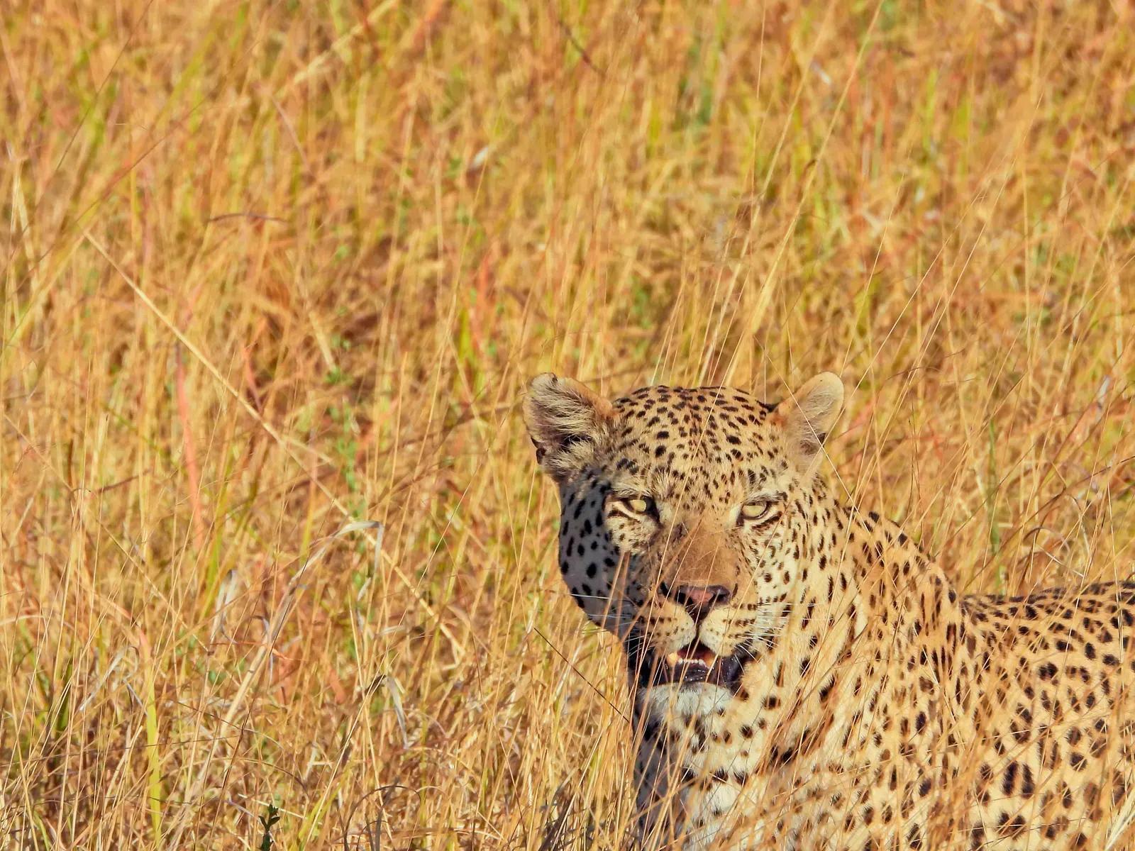 5 Lessons Botswana Taught a Travel Expert