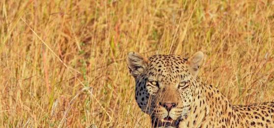 5 Lessons Botswana Taught a Travel Expert