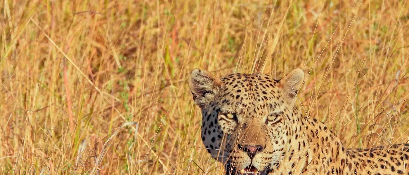 5 Lessons Botswana Taught a Travel Expert
