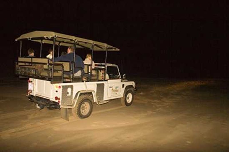 Thonga beach lodge turtle drive